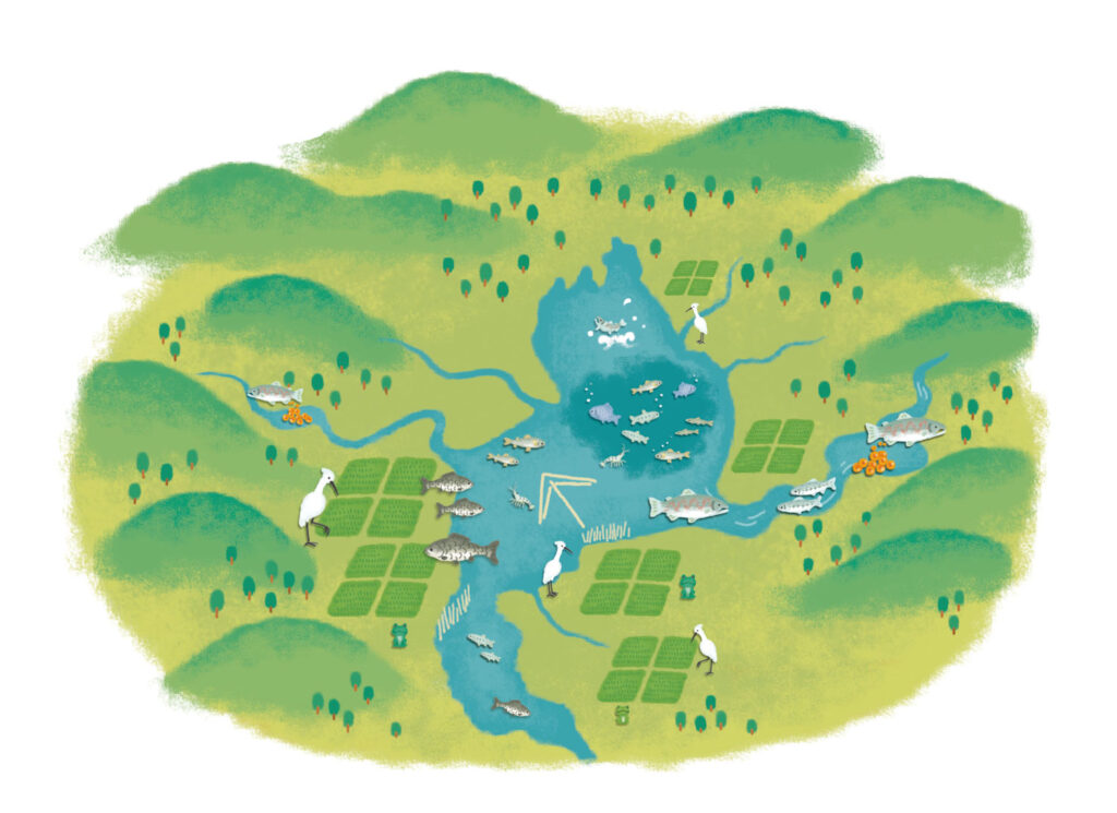 琵琶湖・山・川のつながり