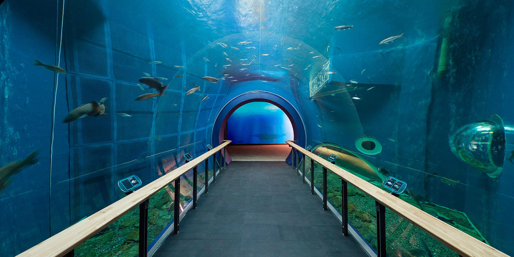 琵琶湖博物館