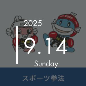 デモスポ　スポーツ拳法