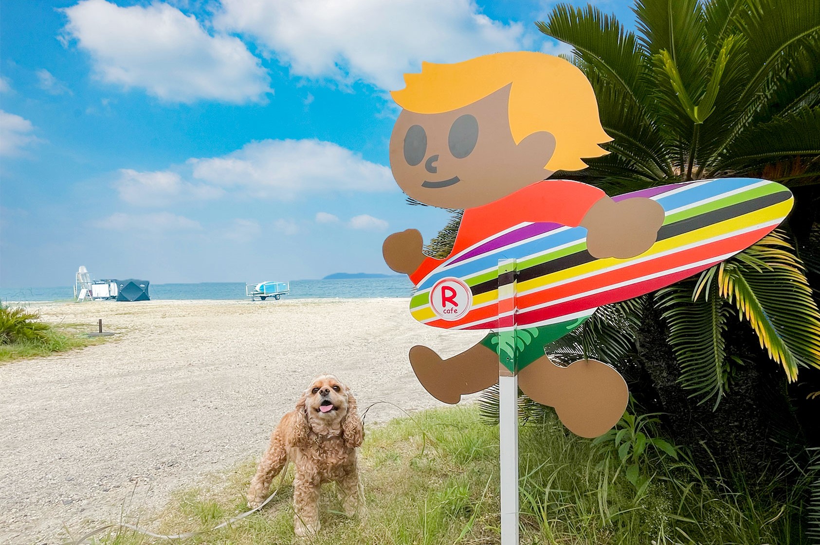 わんちゃん利用料1匹無料クーポン | web滋賀プラスワン公式サイト