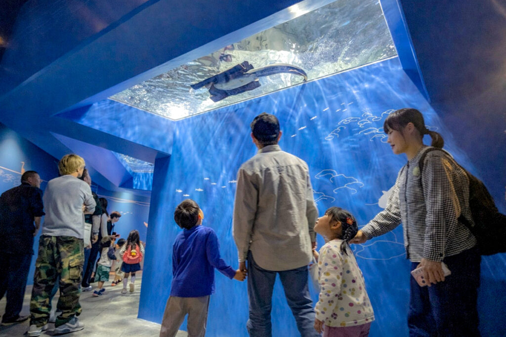伝説の「ナマズ岩」が水槽に。琵琶湖博物館に待望の新水槽がオープン