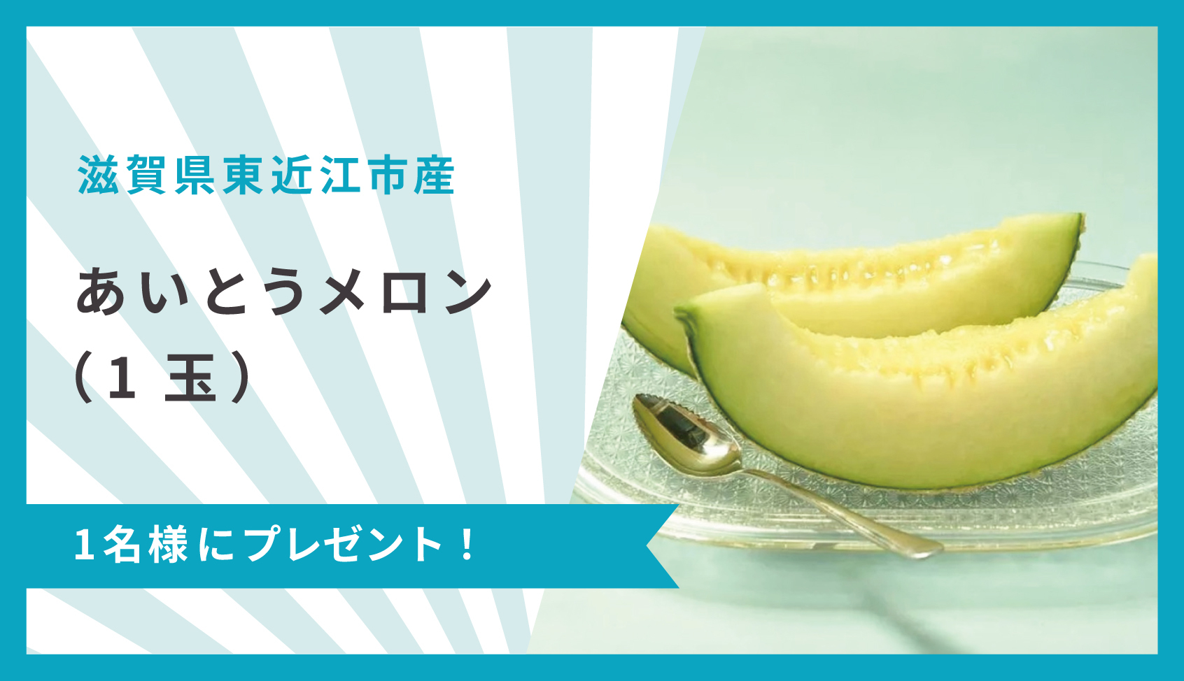 メロン1個 楽天市場】メロン 富良野メロン 1玉 約1.6kg Lサイズ 秀品 贈答用