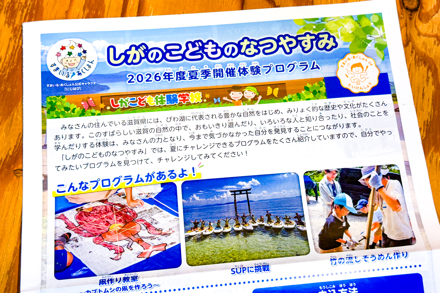 活動歴および当時の関連ビジュアル記録
